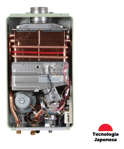 Calefón A Gas Tiro Forzado Rinnai Rar-e330fehb 32 Lts - Image 5