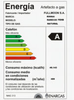 Calefón A Gas Tiro Forzado Rinnai Rar-e330fehb 32 Lts - Image 7