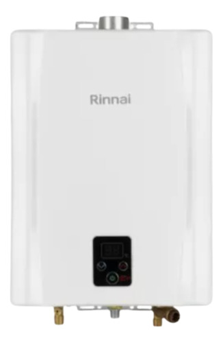 Calefón Rinnai 21 Litros Digital Tiro Forzado Gas Natural