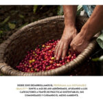 Cafetera Nespresso Essenza Mini C30 Negra - Image 9