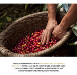 Cafetera Nespresso Essenza Mini D30 Color Negro Aeroccino - Image 4