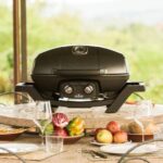 PARRILLA TRAVELQ PRO 285 GAS DE MESA (APTO CARRO) - Image 3